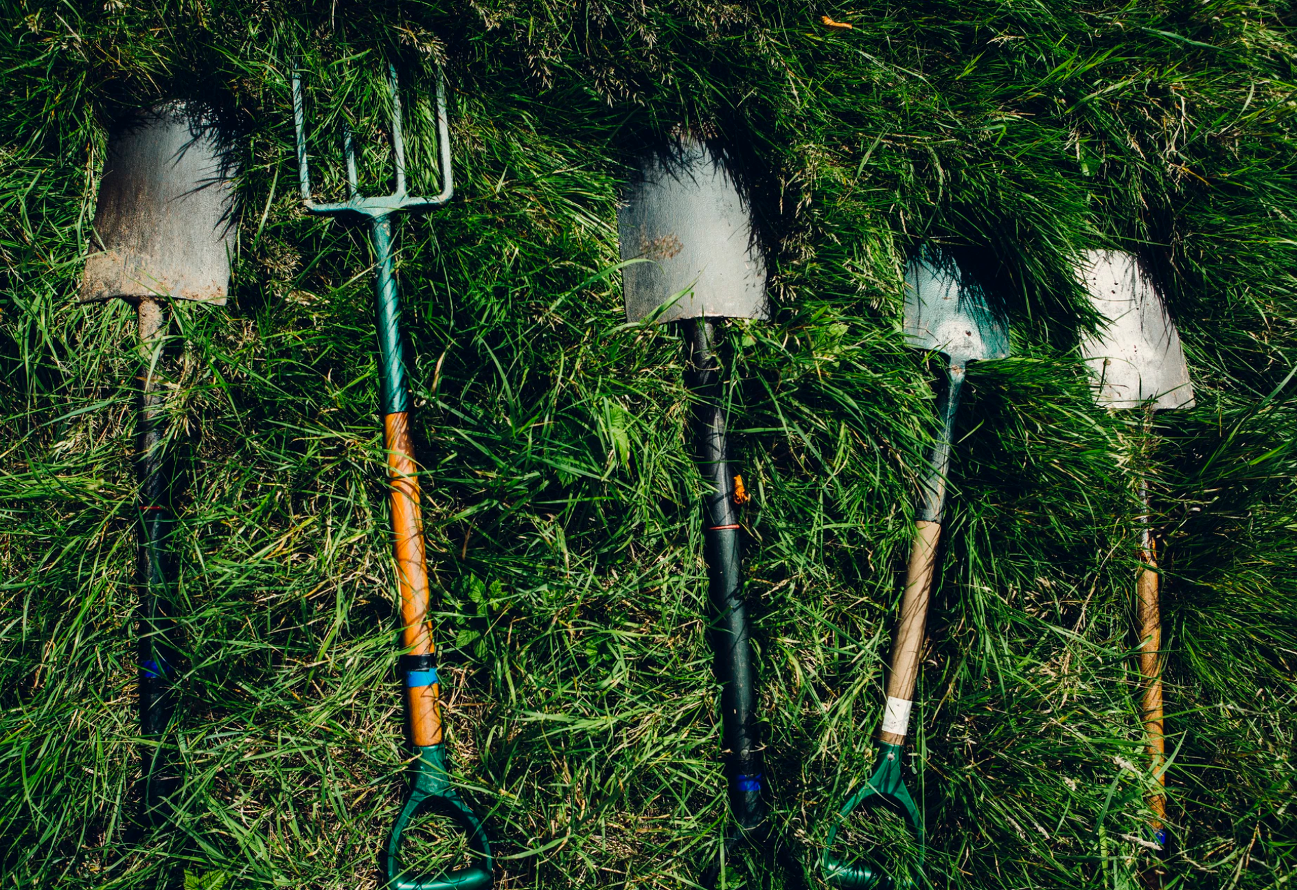several shovels in grass