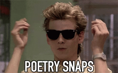 poetry-snaps.gif