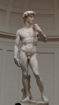 Michelangelo's David, a lifelike statue of a nude man.