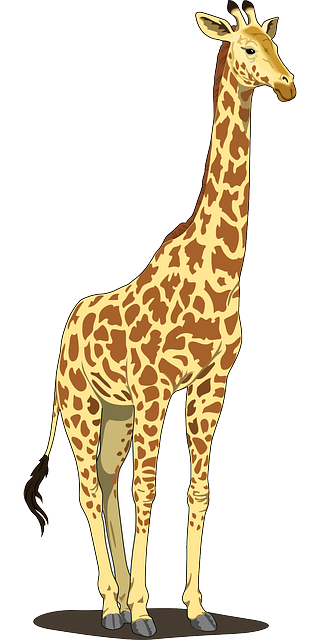 giraffe-48393_640.png