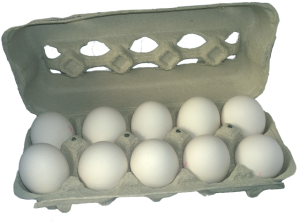 egg-carton-788022_640-300x222.png