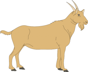 goat-300x247.png