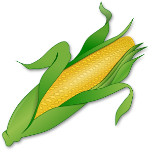 corn-155613_640-300x298.png