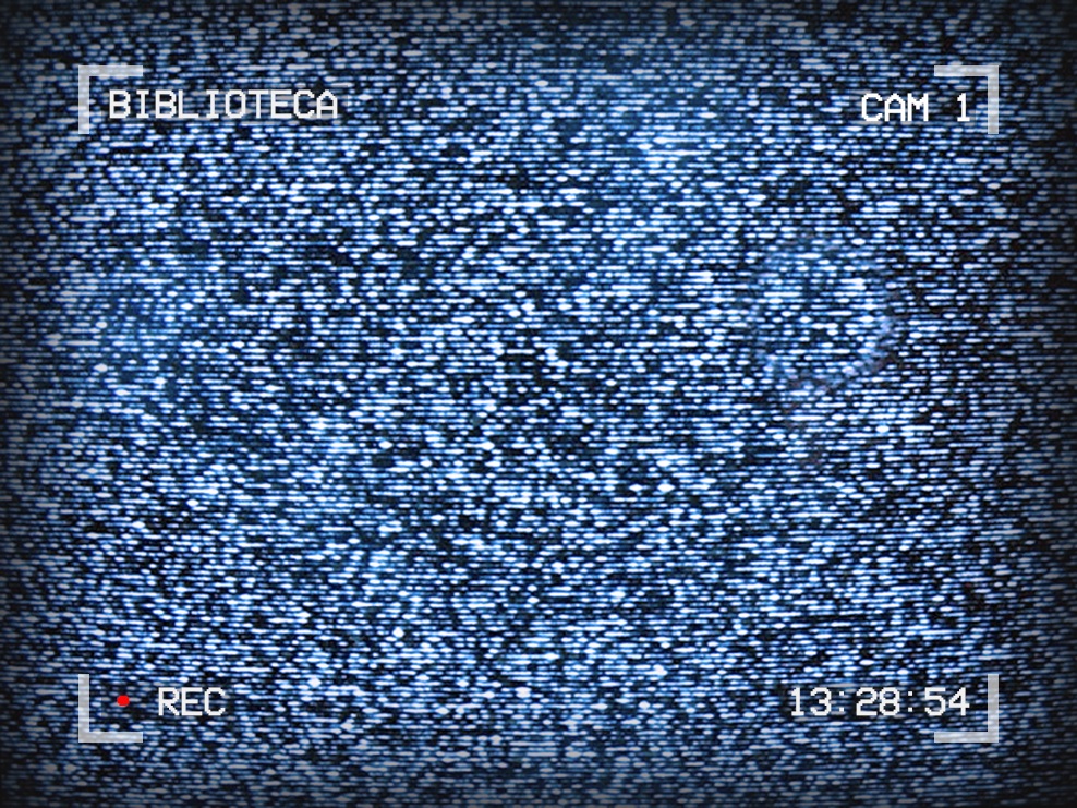 Photo of TV static. Text on the edges of the image reads: Biblioteca, Cam 1, 13:28:54