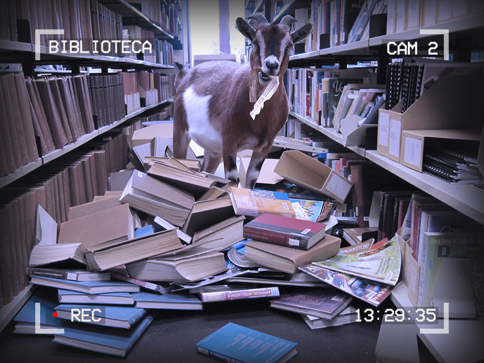Image of a goat standing on a pile of books in the library stacks. The goat is eating a book. Text around the edges of the image reads: Biblioteca, Cam 2, 13:29:35