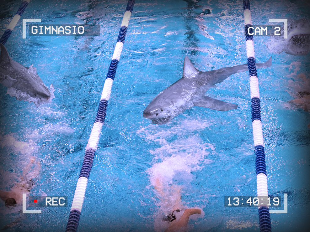 Photo of people swimming in a pool. There are sharks in the pool. Text around the edges reads: Gimnasio, Cam 2, 13:40:19. A red dot signifies recording.