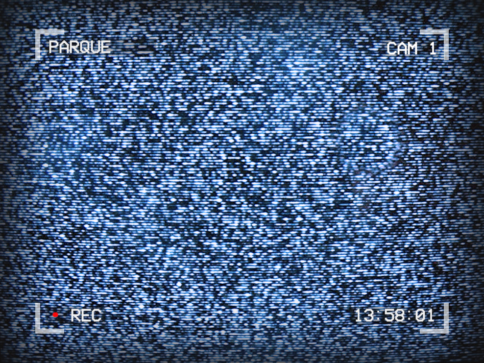 Image of TV static. Text around the outside reads: Parque, Cam 1, 13:58:01, recording