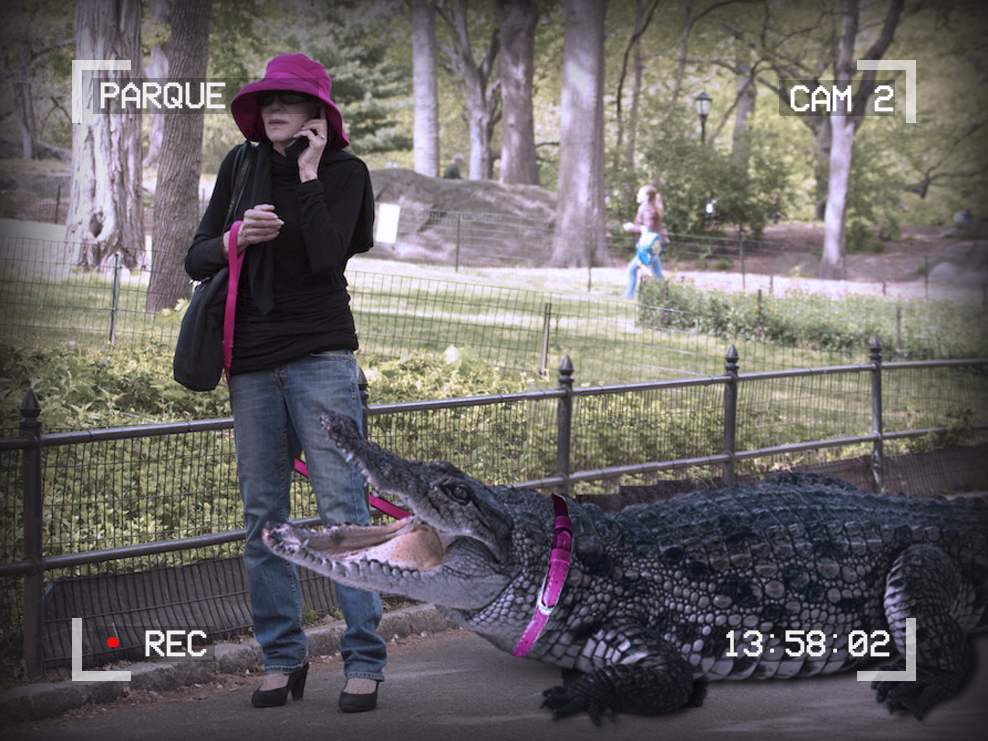 Photo of a woman talking on a cellphone and holding a leash. There is a large alligator on the leash. The text around the outside of the image reads: Parque, Cam 2, 13:58:02, recording