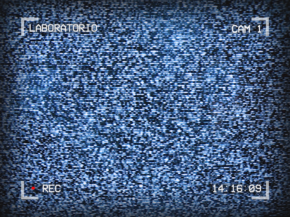 Image of TV static. Text around the outside reads: Laboratorio, Cam 1, 14:16:09, Recording