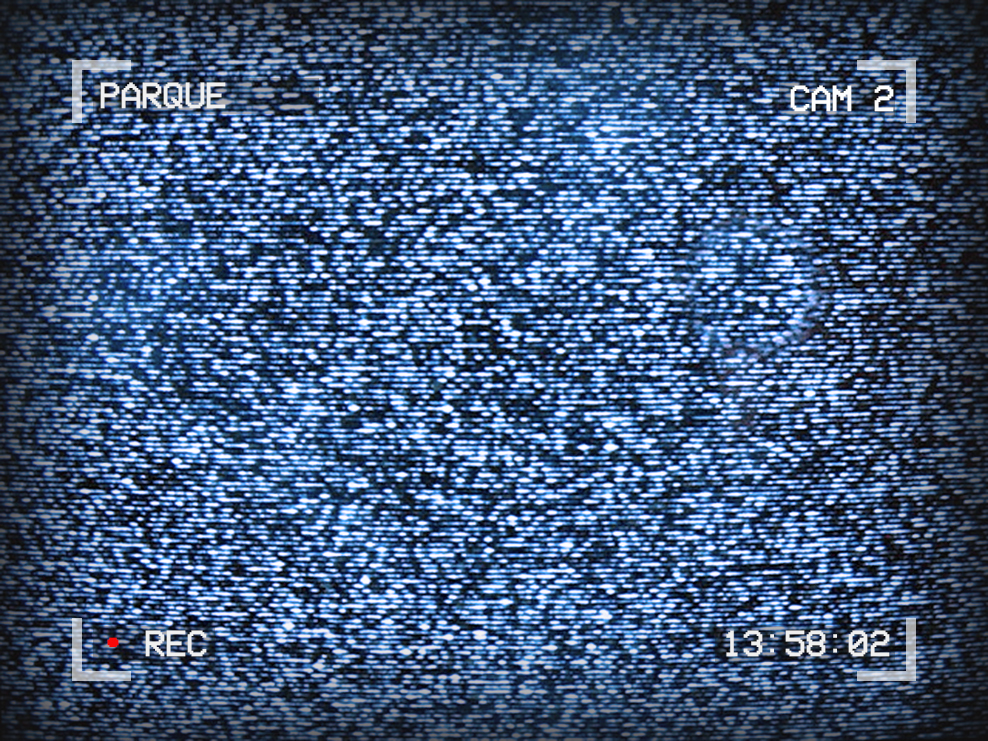 Image of TV static. Text around the outside reads: Parque, Cam 2, 13:58:02, Recording