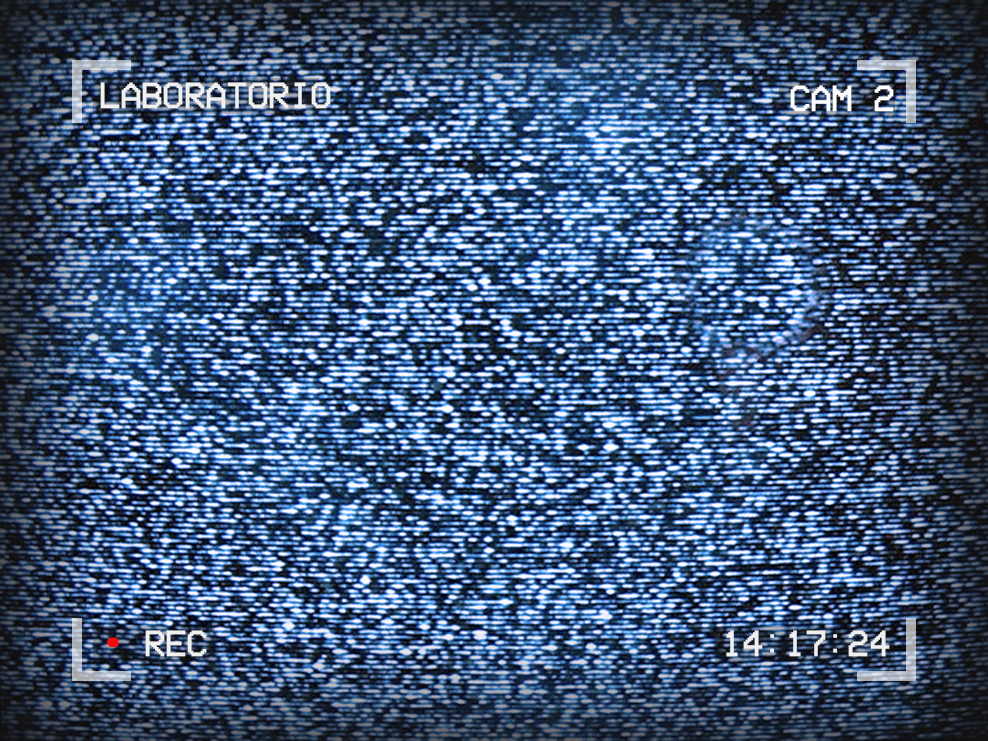 Image of TV static. Text around the outside reads: Laboratorio, Cam 2, 14:17:24, Rec