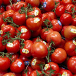 Photograph of ripe tomatoes at the store