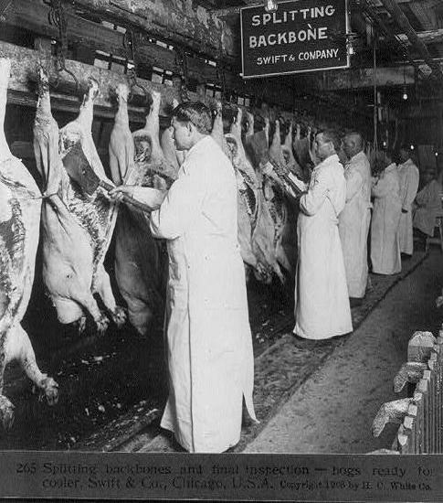 Chicago_meat_inspection_swift_co_1906.jpg