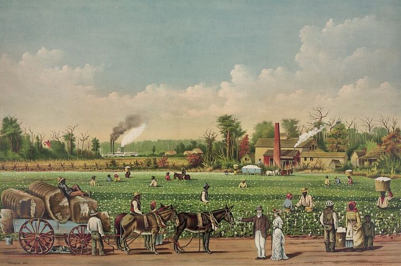 Cotton_plantation_on_the_Mississippi_1884_cropped-1.jpg