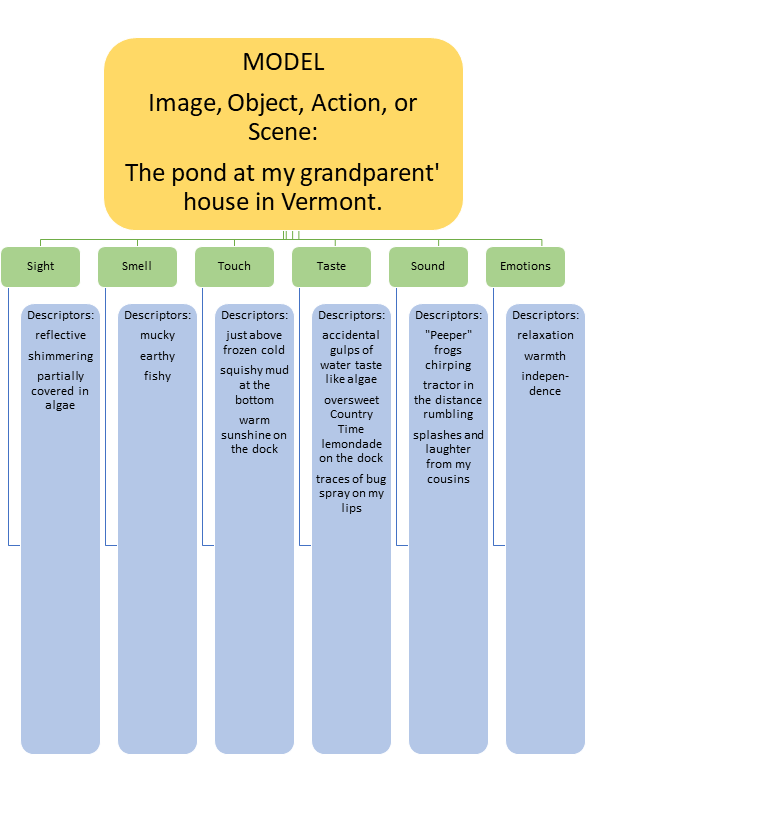 Graphic organizer model description