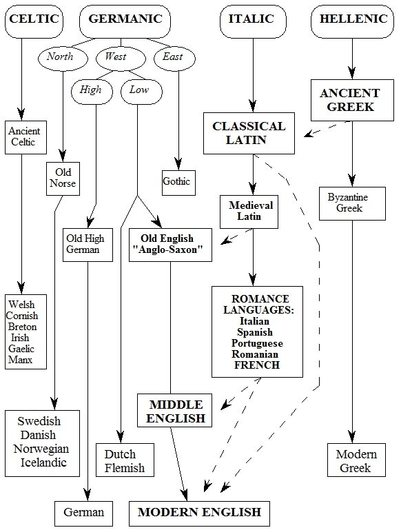 THE INDO-EUROPEAN FAMILY OF LANGUAGES Western Divison