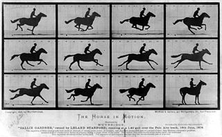 A photograph series capturing the different stages of the running motion of a horse.