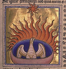 An illustration of a phoenix. The bird and the background for the image are both gold.