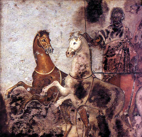 This is a photo of a Man on a Chariot. The chariot is pulled by a brown horse and a white horse. Their front feet are raised as if they are mid-gallop. The chariot driver is blackened by damage to the poorly preserved painting. He wears draped garments and appears to have a beard. He holds a whip or reins.