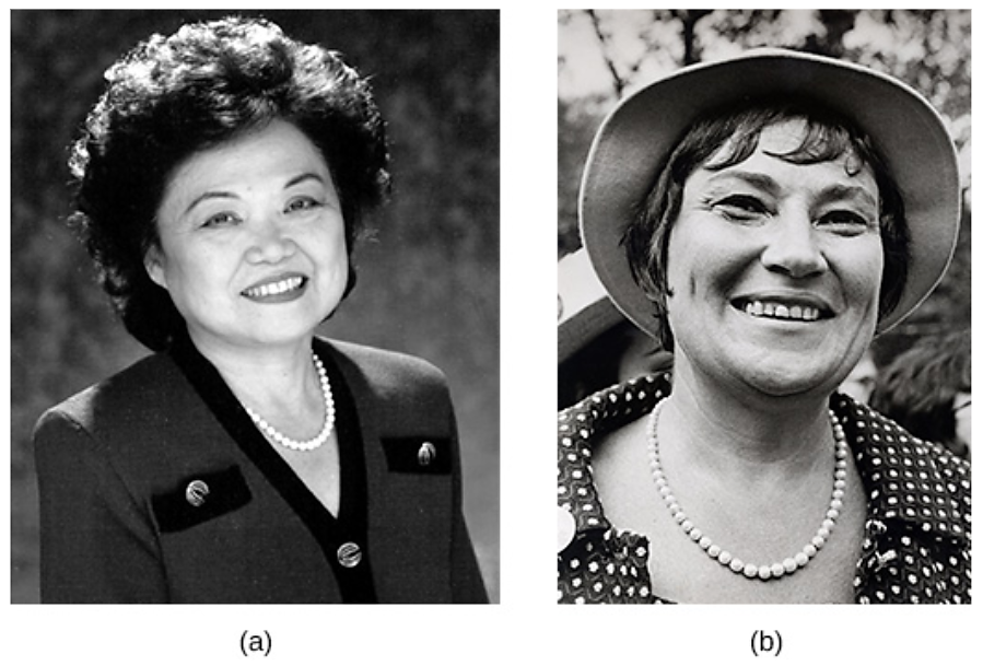 照片 (a) 显示 Patsy Mink。 照片 (b) 显示的是贝拉·阿布祖格。