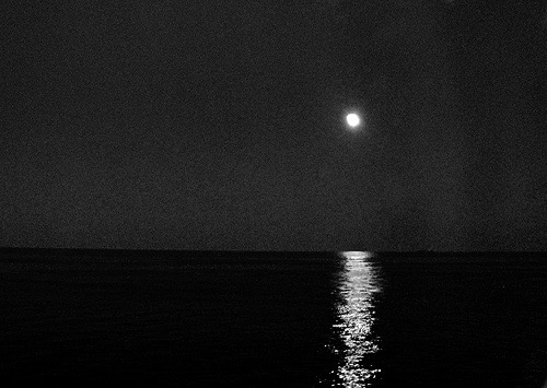 luna, brillando, en, quieto, negro, agua