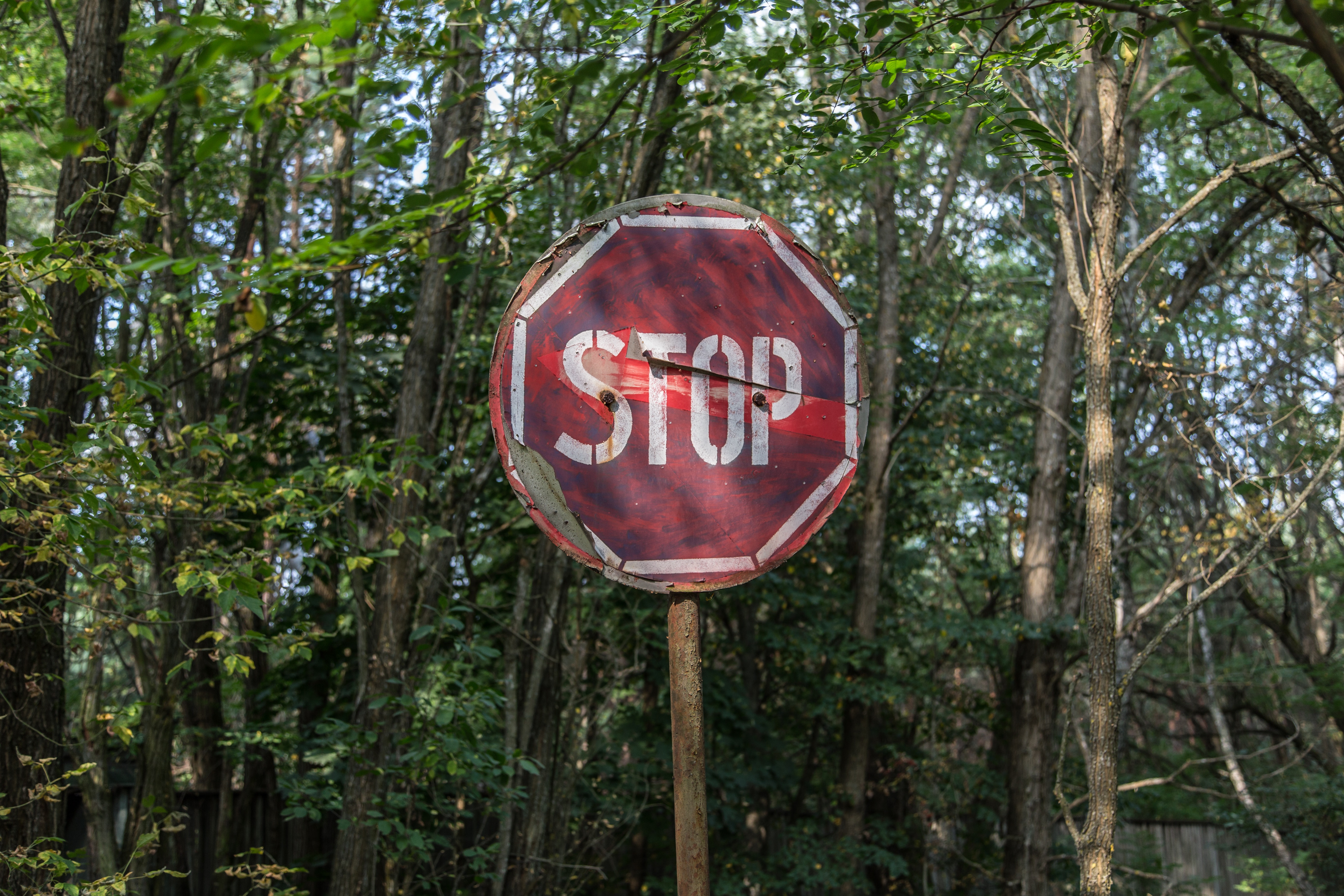 red-and-white-stop-road-signage-1411397.jpg