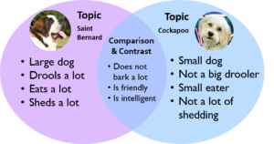 Venn diagram comparing Saint Bernards and Cockapoo dogs.