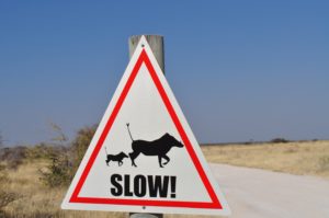 Road sign with animals that says "slow!".