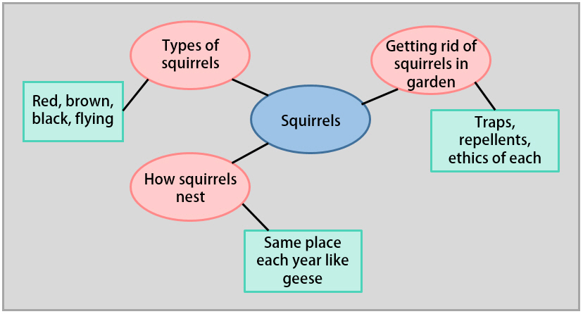Mind map showing squirrels in the center, connected to types of squirrels, how they nest, getting rid of them in the garden, and so forth.