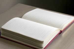Photo of open blank journal