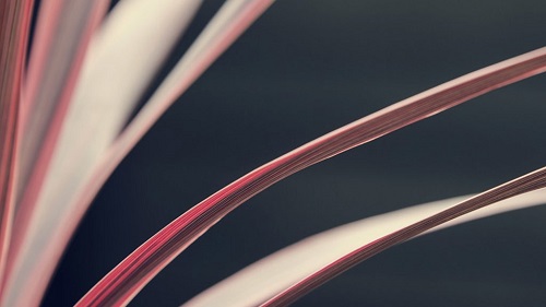 mindtouch.page#thumbnail