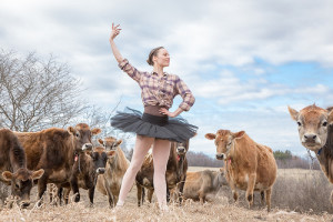 Photo of a woman standing in the middle of a cow herd, outside, wearing a tight flannel shirt, a grey tutu, and pink leggings, standing in a ballet pose with one arm raised in the air.