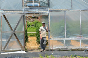 Photo of a man standing in the doorway of an industrial greenhouse.