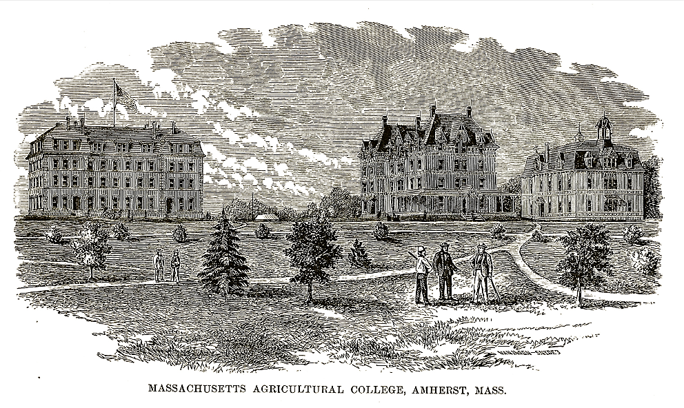 Massachusetts Agricultural College (now known as University of Massachusetts Amherst) was one of many colleges founded through the Federal Morrill-Land Grant Colleges Act. “Massachusetts Agricultural College, Amherst, Mass. 1879,” 1880. Wikimedia, http://commons.wikimedia.org/wiki/File:Mass_Aggie.jpg. 