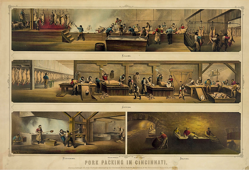 This print shows the four stages of pork packing in nineteenth-century Cincinnati. This centralization of production made meat-packing an innovative industry, one of great interest to industrialists of all ilks. In fact, this chromo-lithograph was exhibited by the Cincinnati Pork Packers' Association at the International Exposition in Vienna, Austria. “Pork Packing in Cincinnati,” 1873. Wikimedia, http://commons.wikimedia.org/wiki/File:Pork_packing_in_Cincinnati_1873.jpg. 