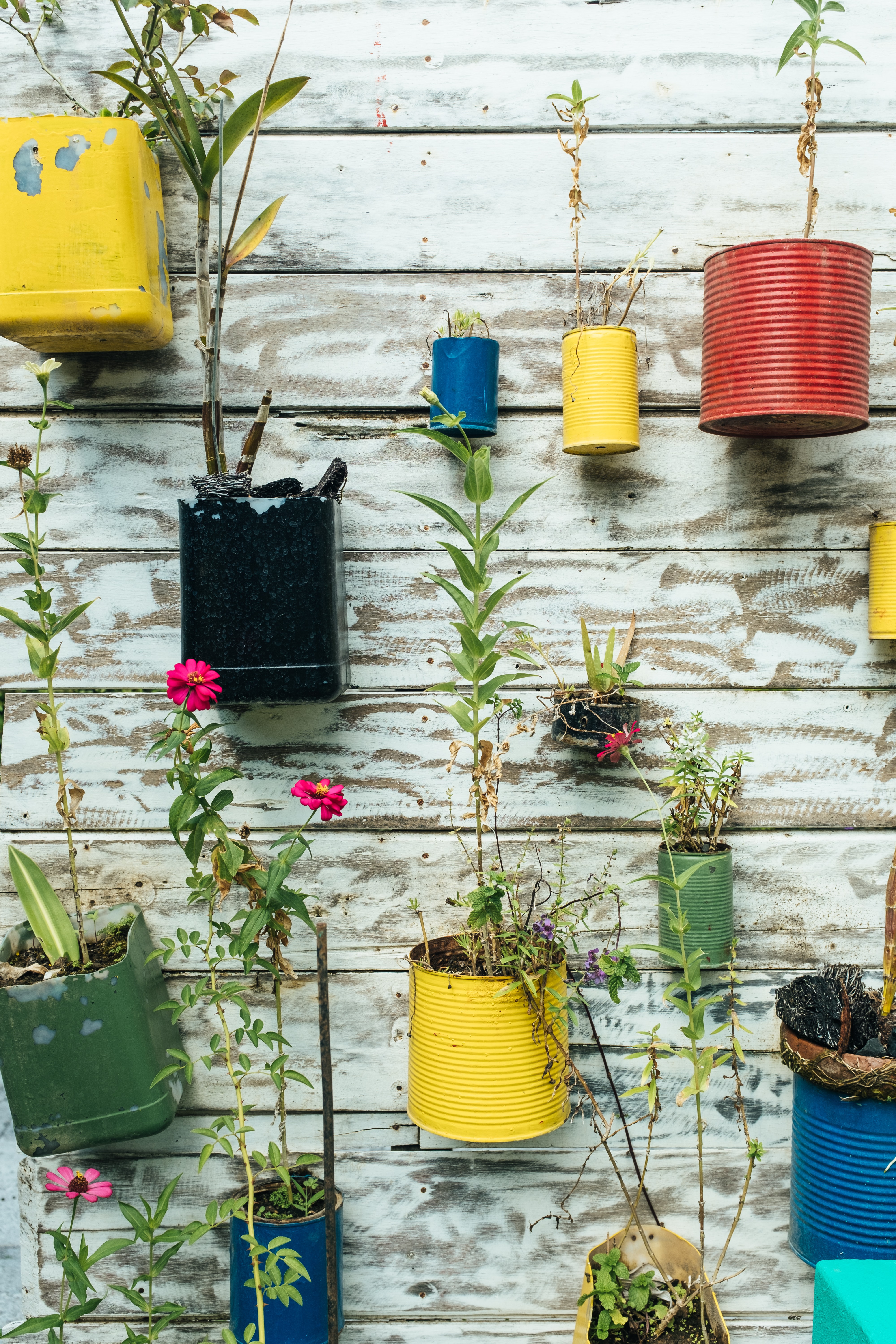 reused coffee cans painted bright colors, stuck to the wall and used and pots for plants