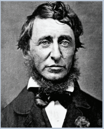 Henry David Thoreau, scruffy short beard, unruly hair parted on the right, mole on left cheek. Black jacket, white blouse scarf ties around neck