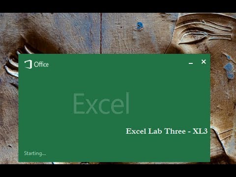 Thumbnail for the embedded element "Microsoft Excel Lab Three"