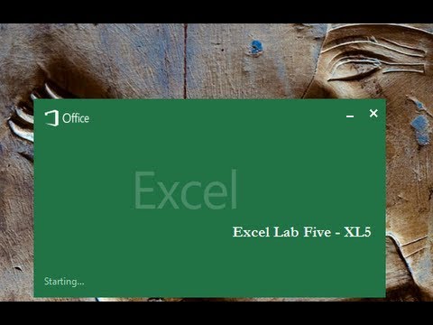 Thumbnail for the embedded element "Microsoft Excel Lab Five"