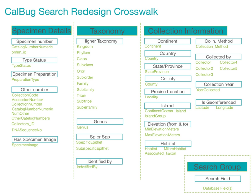 This figure shows the Crosswalk Table for the redesigned CalBug user interface. It is organized according to the three sections of the new user interface, namely Specimen Details, Taxonomy, and Collection Information. For each of the input fields, the table lists one or more fields in the underlying database that are searched for the content of the input field. For example, the Other Number field in the simplified CalBug user interface maps to eight fields in the database, including Collection Code, Accession Number, and Collectors ID.