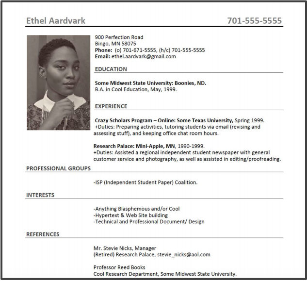 This image depicts an example resume.