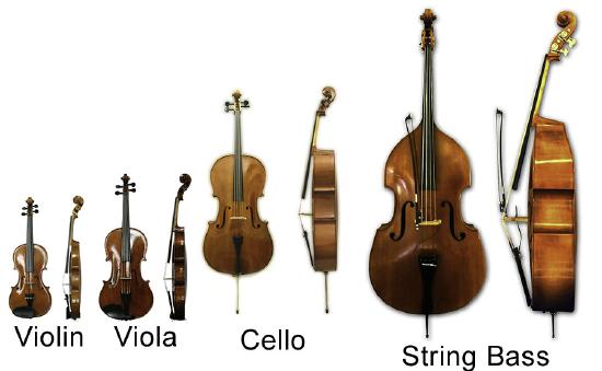 String Family-violin, viola, cello, and string bass
