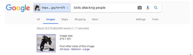 birdsattackingpeople.jpg