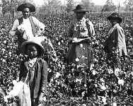 3: The Development Indentured Servitude and Racial Slavery in the American Colonies