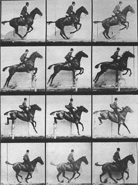 Twelve film stills showing a horse and rider jump over a gate.