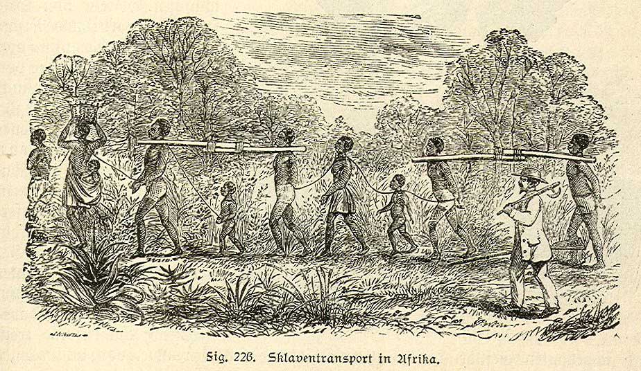 nineteenth century engraving of Slaves being transported in Africa, attached together