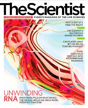 Cover page of The Scientist Magazine featuring the unwinding of RNA.