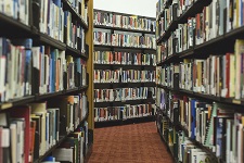 Book: Library and Information Studies (Lumen)