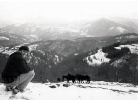 A person on a snow covered mountains looking at horses.