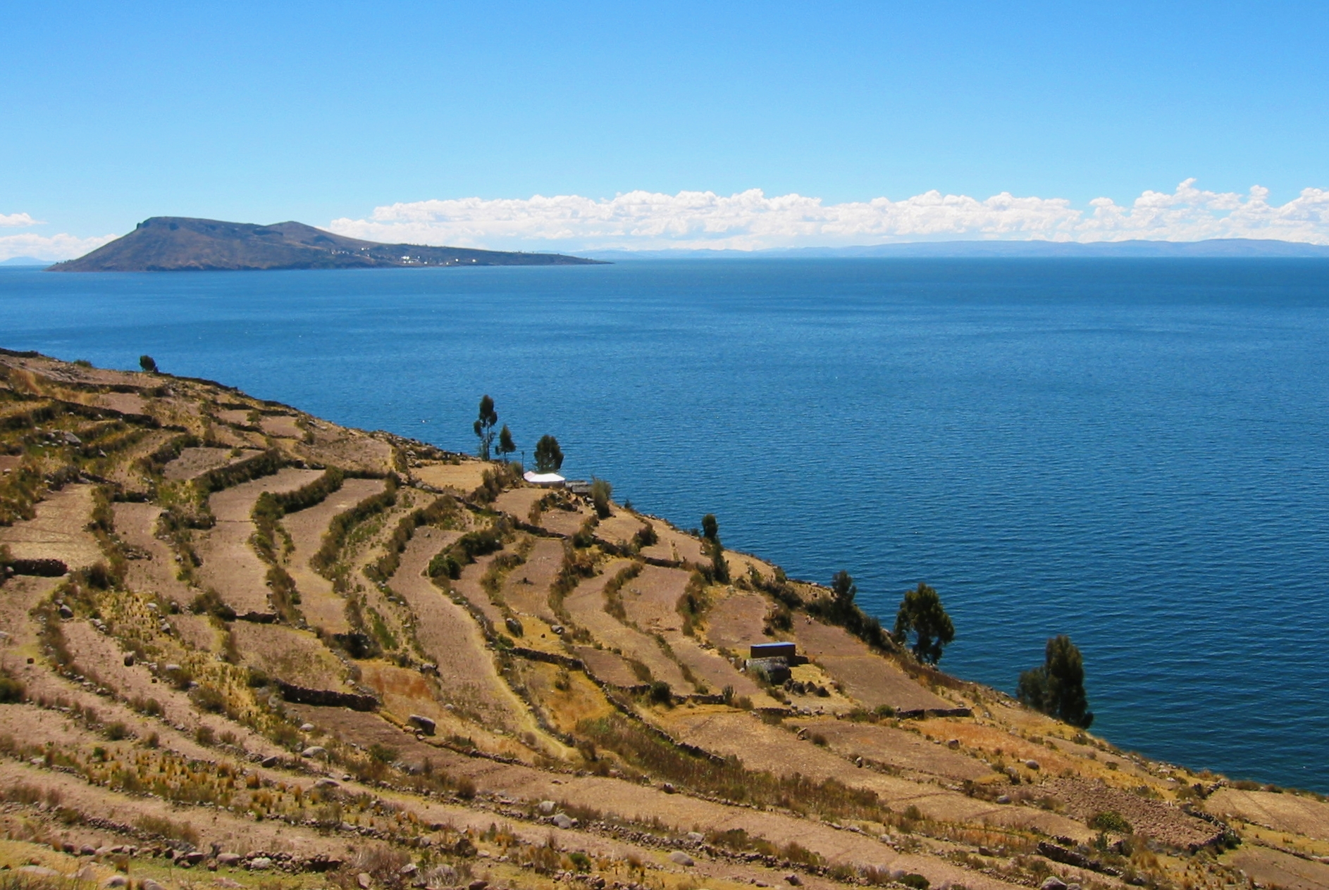 Terraces around Lake Titicaca